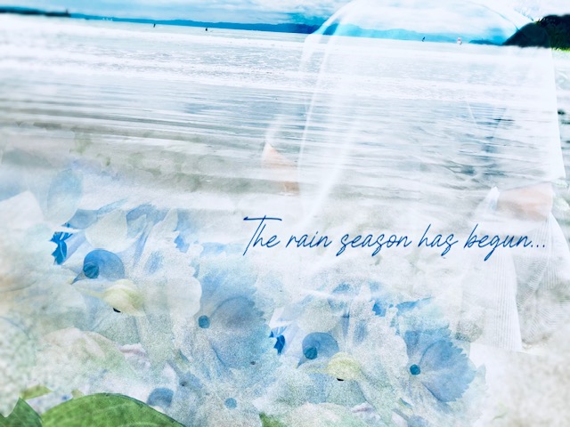盛夏の用意が始まっている🐚大潮が間近の海沿いにて/クールビズ＆リゾートカジュアルフェア/NET限定企画