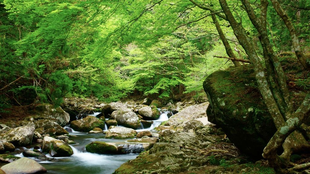 《夏季休業日》のお知らせ