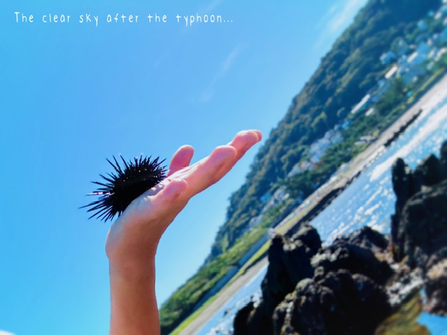 貴重な晴れ間に当たった休日に🐚10月も宜しくお願いします/下取り承っておりますよ